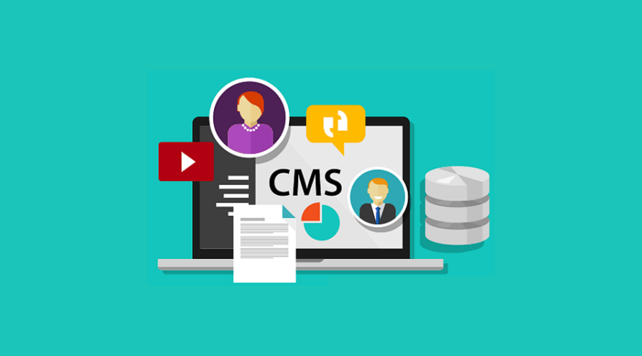 the Best CMS Systems