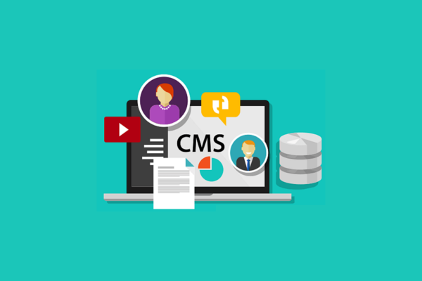What Are the Best CMS Systems?